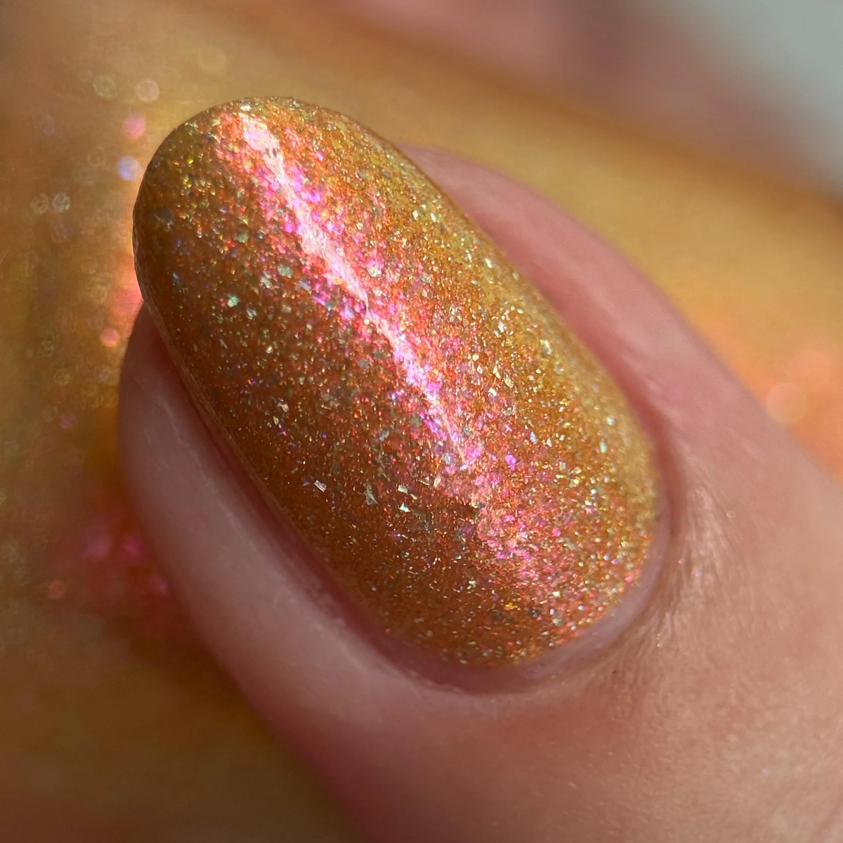 By Dany Vianna- Wicked for Good- The Most Scandalocious Fish in the Sea