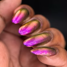 DVW- Wonka- A Magician