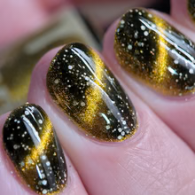 DVW- Wonka- Prodnose