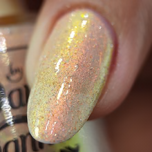 By Dany Vianna- Gossamer Wings- Glasswing