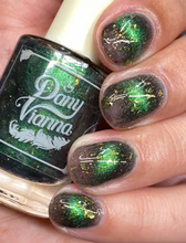 By Dany Vianna- Wicked- The Great and Terrible Oz