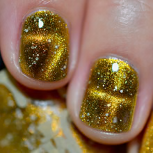 DVW- Wonka- Prodnose