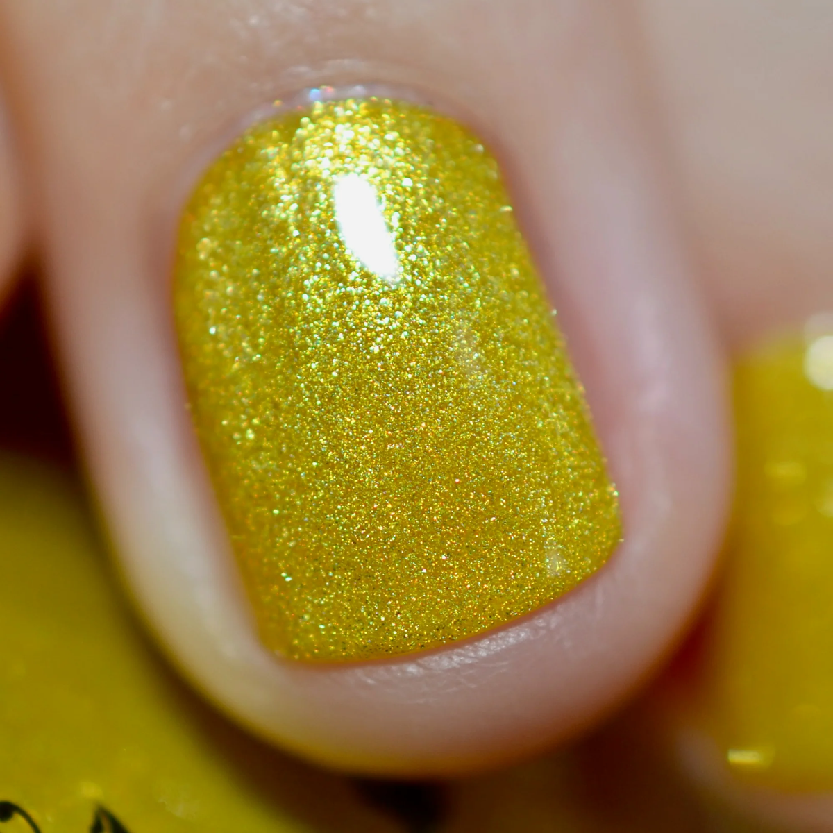 By Dany Vianna- Wicked for Good- Yellow Brick Road