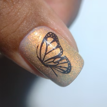 By Dany Vianna- Gossamer Wings- Glasswing