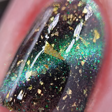 By Dany Vianna- Wicked- The Great and Terrible Oz