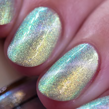 By Dany Vianna- Gossamer Wings- Tiger Swallowtail