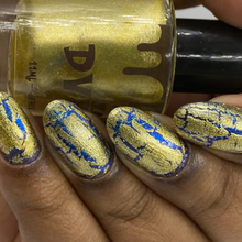 DVW- Wonka- Golden Secret