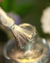 By Dany Vianna- Gossamer Wings- Tiger Swallowtail