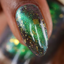 By Dany Vianna- Wicked- The Great and Terrible Oz