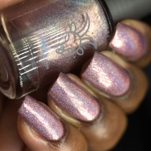 Zodiac Collab- Capricorn- Rose Quartz