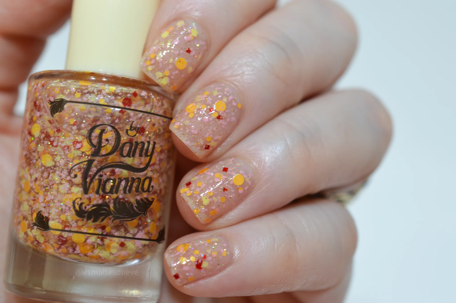 By Dany Vianna- Wicked for Good- Poppy Dreams