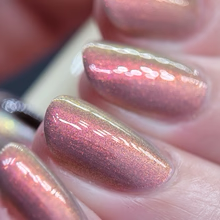 By Dany Vianna- Folklore- Boto Rosa