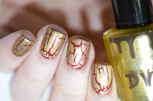 DVW- Wonka- Golden Secret