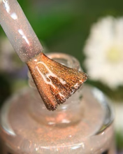 By Dany Vianna- Gossamer Wings- Glasswing