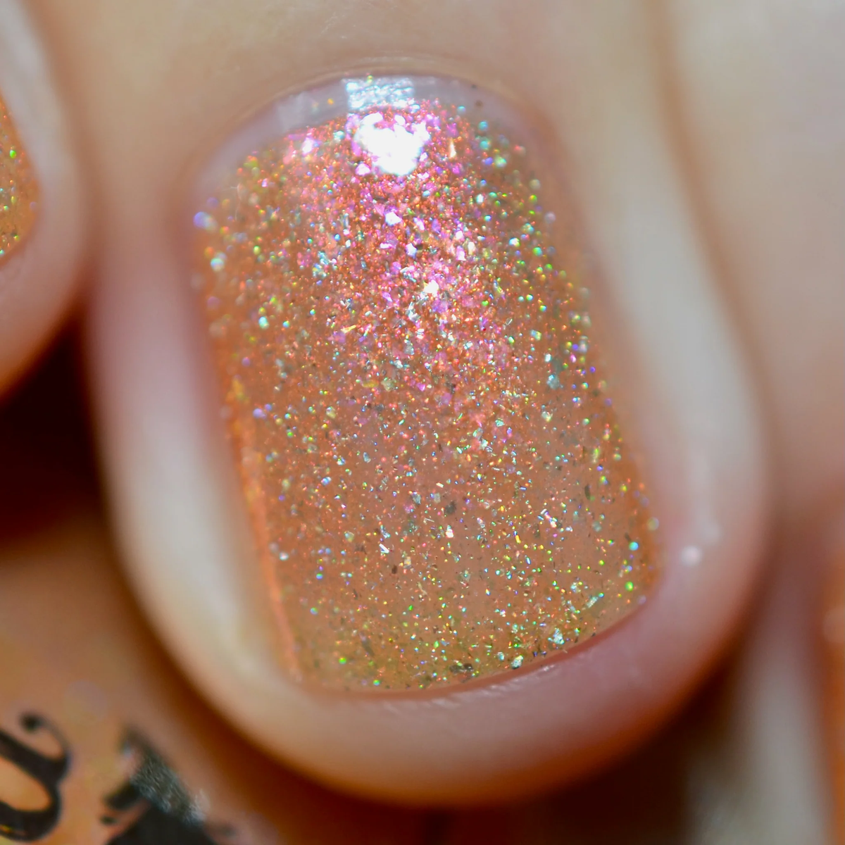 By Dany Vianna- Wicked for Good- The Most Scandalocious Fish in the Sea