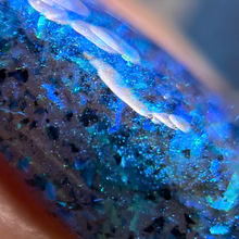 By Dany Vianna- Wicked- Flying Monkeys