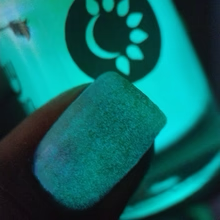 By Dany Vianna- Gossamer Wings- Blue Morpho