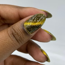 DVW- Wonka- Prodnose