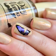 By Dany Vianna- Gossamer Wings- Glasswing