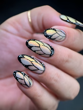 By Dany Vianna- Gossamer Wings- Glasswing