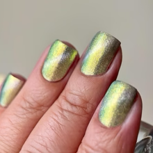 By Dany Vianna- Gossamer Wings- Tiger Swallowtail