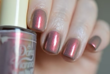 By Dany Vianna- Folklore- Boto Rosa