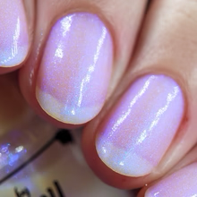 By Dany Vianna- Gossamer Wings- Blue Morpho