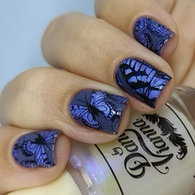 By Dany Vianna- Gossamer Wings- Blue Morpho