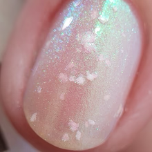 DVW- Wonka- Abigail's Treat