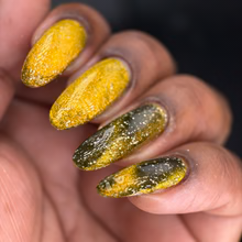 DVW- Wonka- Prodnose