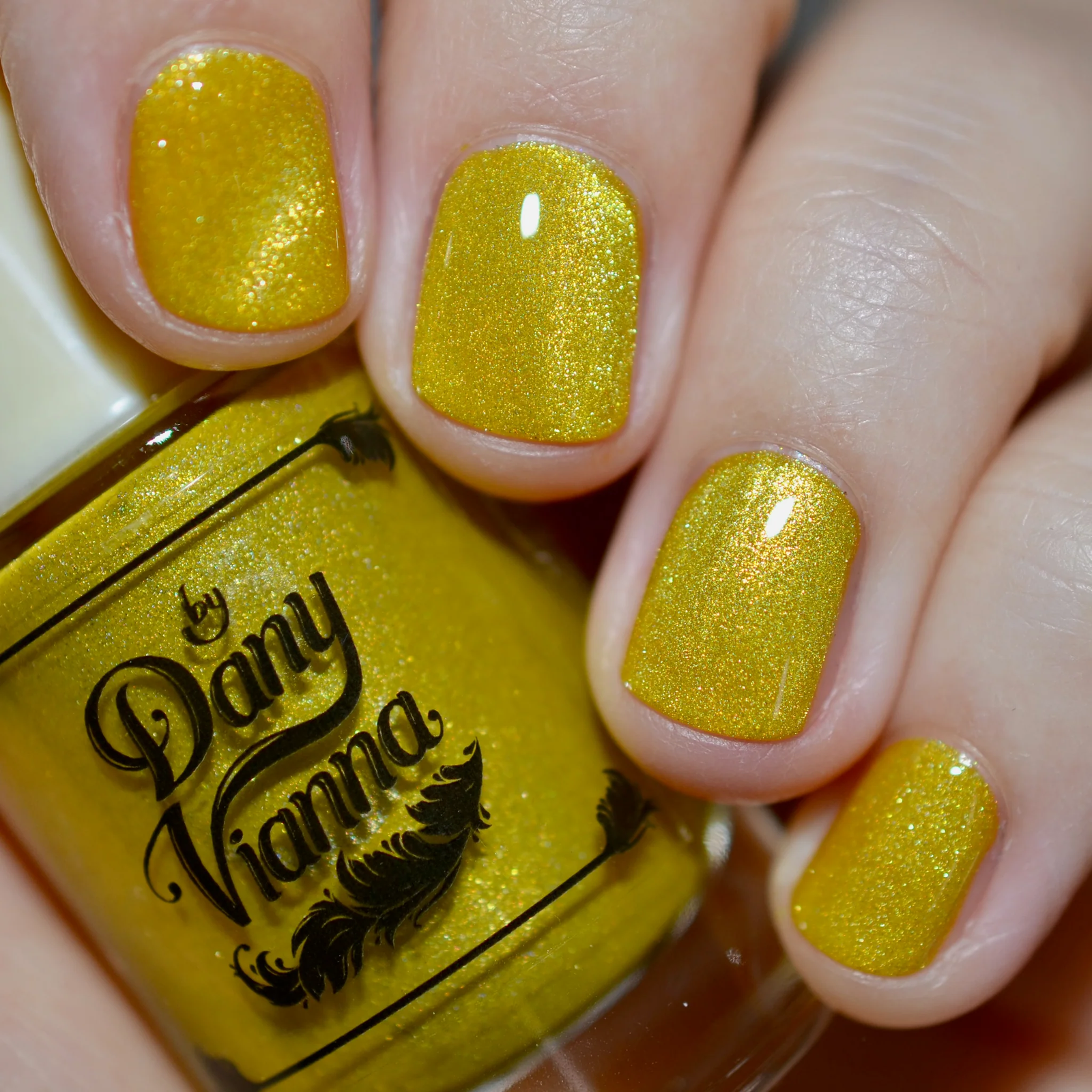 By Dany Vianna- Wicked for Good- Yellow Brick Road