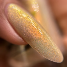 By Dany Vianna- Gossamer Wings- Glasswing