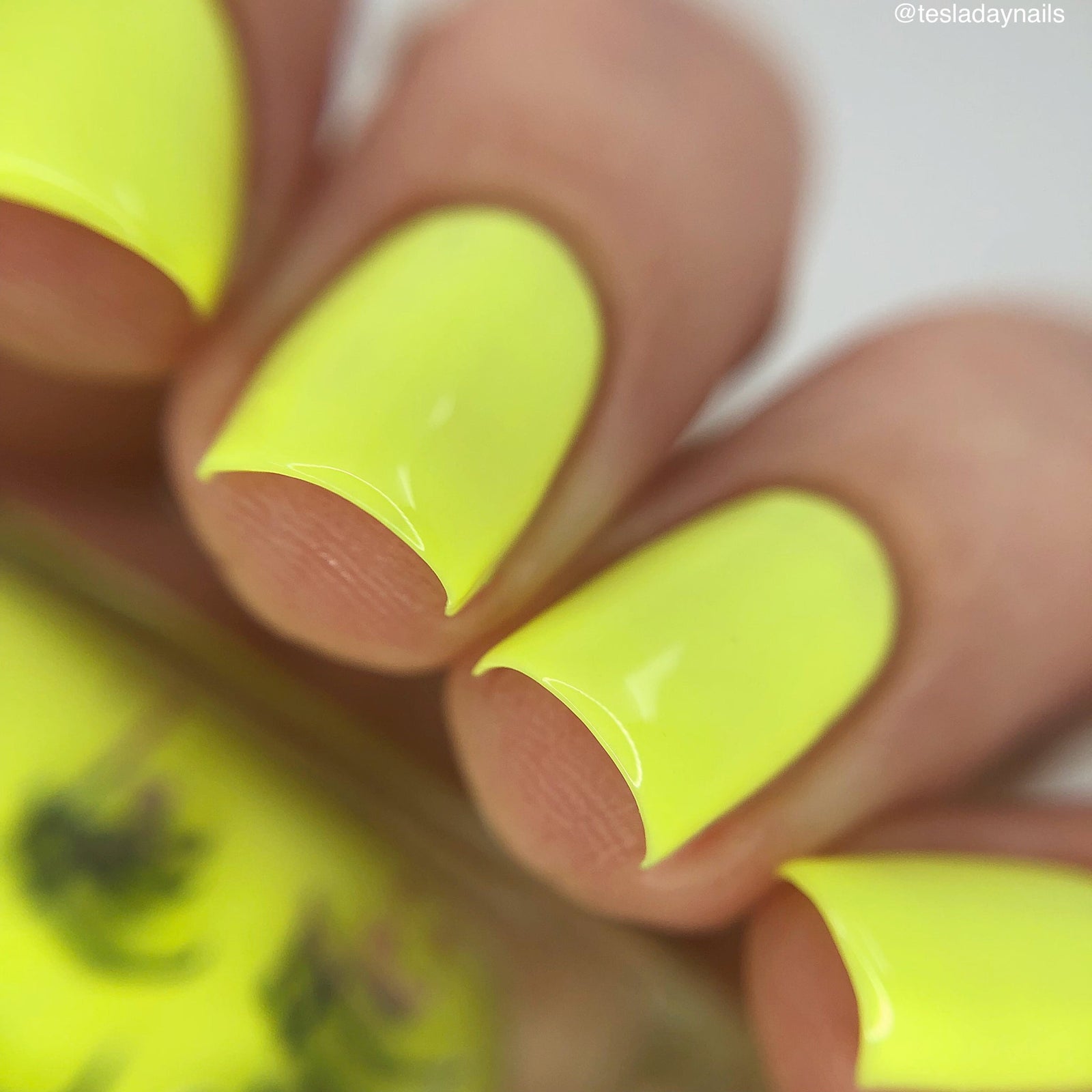 Hit the Bottle- Follow Your Dreams- Lazy Lemon