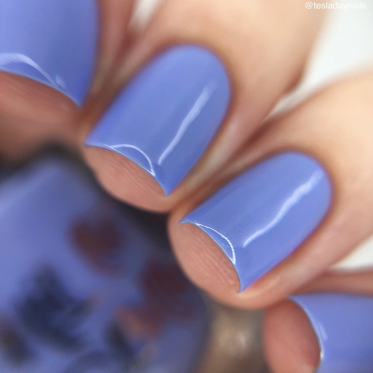 Hit the Bottle- Follow Your Dreams- Periwinkle Pipedream