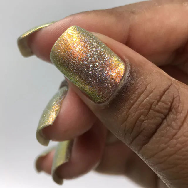 Phoenix- The Galaxy Needs Us- Raccoon