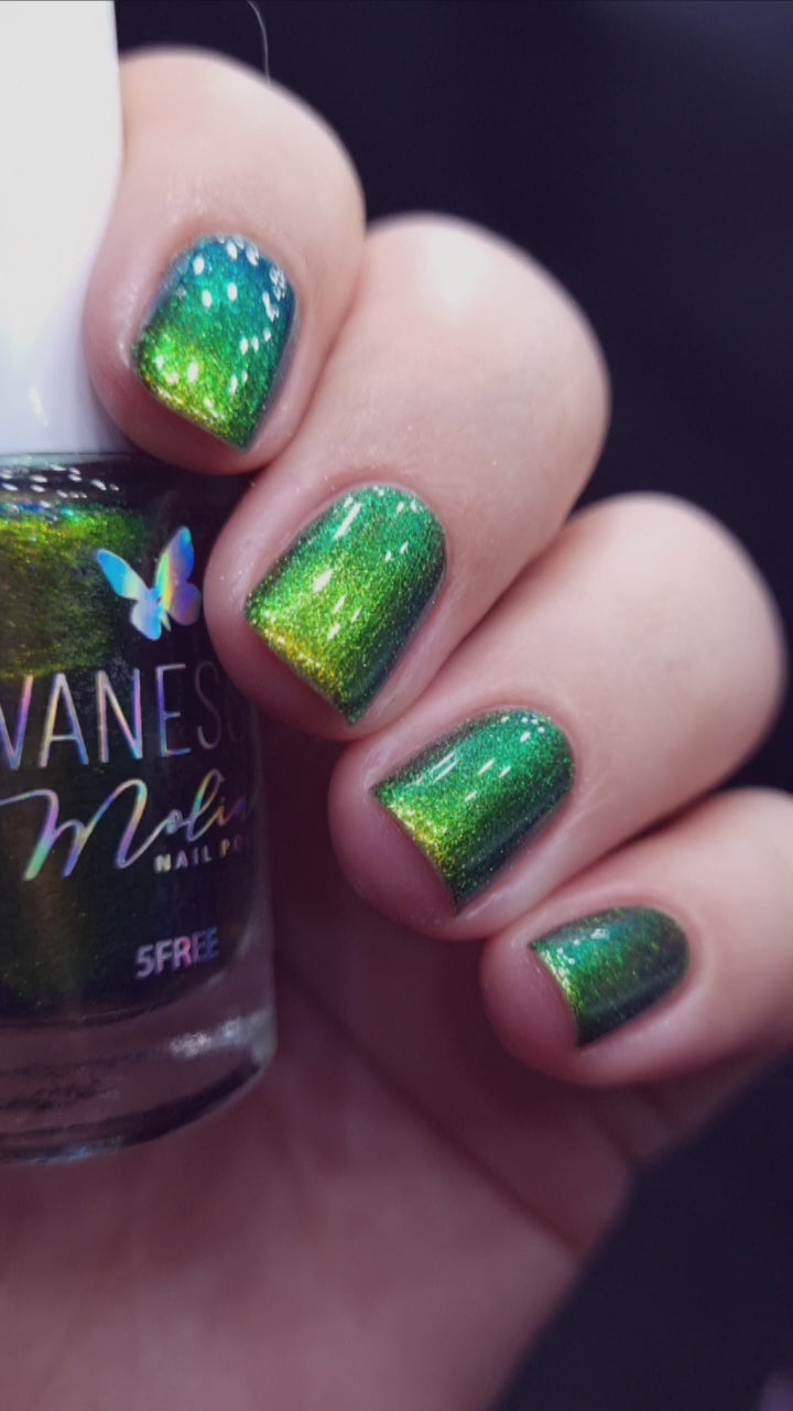 By Vanessa Molina- Rise of the Guardians- Magic Tooth Fairy