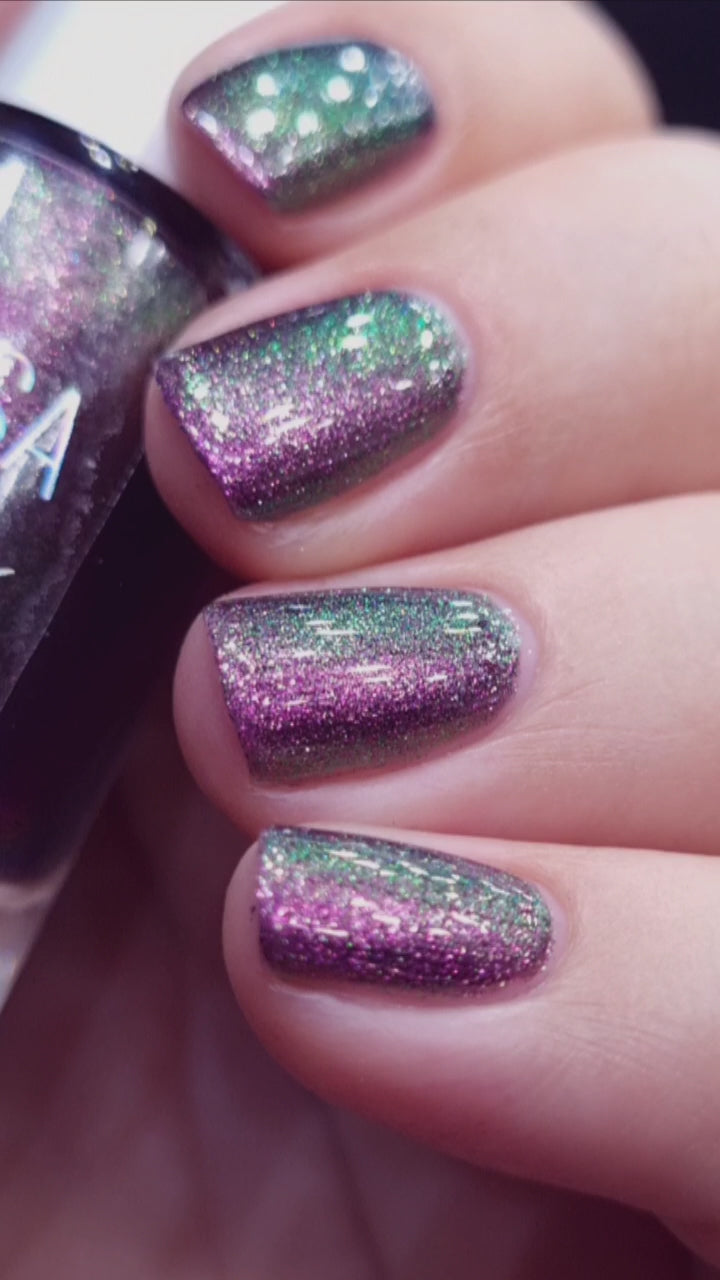 By Vanessa Molina- Rise of the Guardians- Save Easter