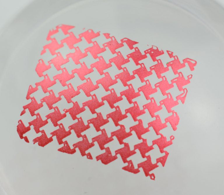 B. loves plates- Stamping Polish- BLP07 B. a Santa Claus