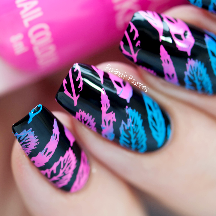 B. loves plates- Stamping Plates- B.08 feather fever