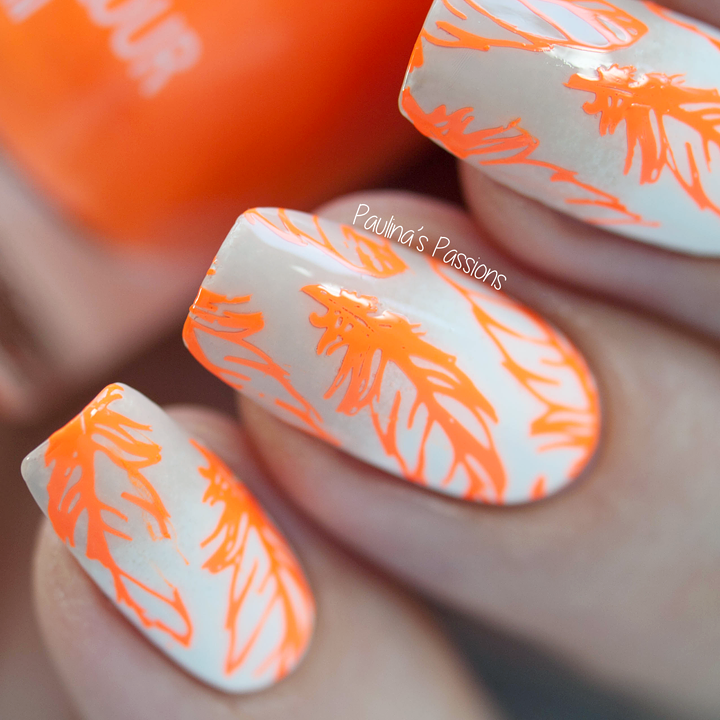 B. loves plates- Stamping Plates- B.08 feather fever