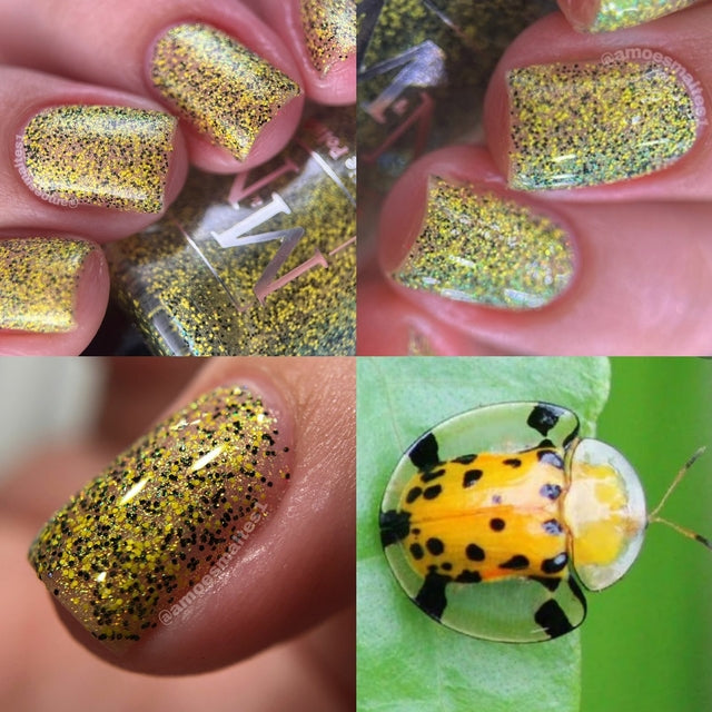 M&N Indie Polish- Insecta- Yellow Tortoise Beetle