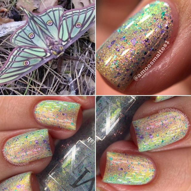 M&N Indie Polish- Insecta- Elizabethan Butterfly