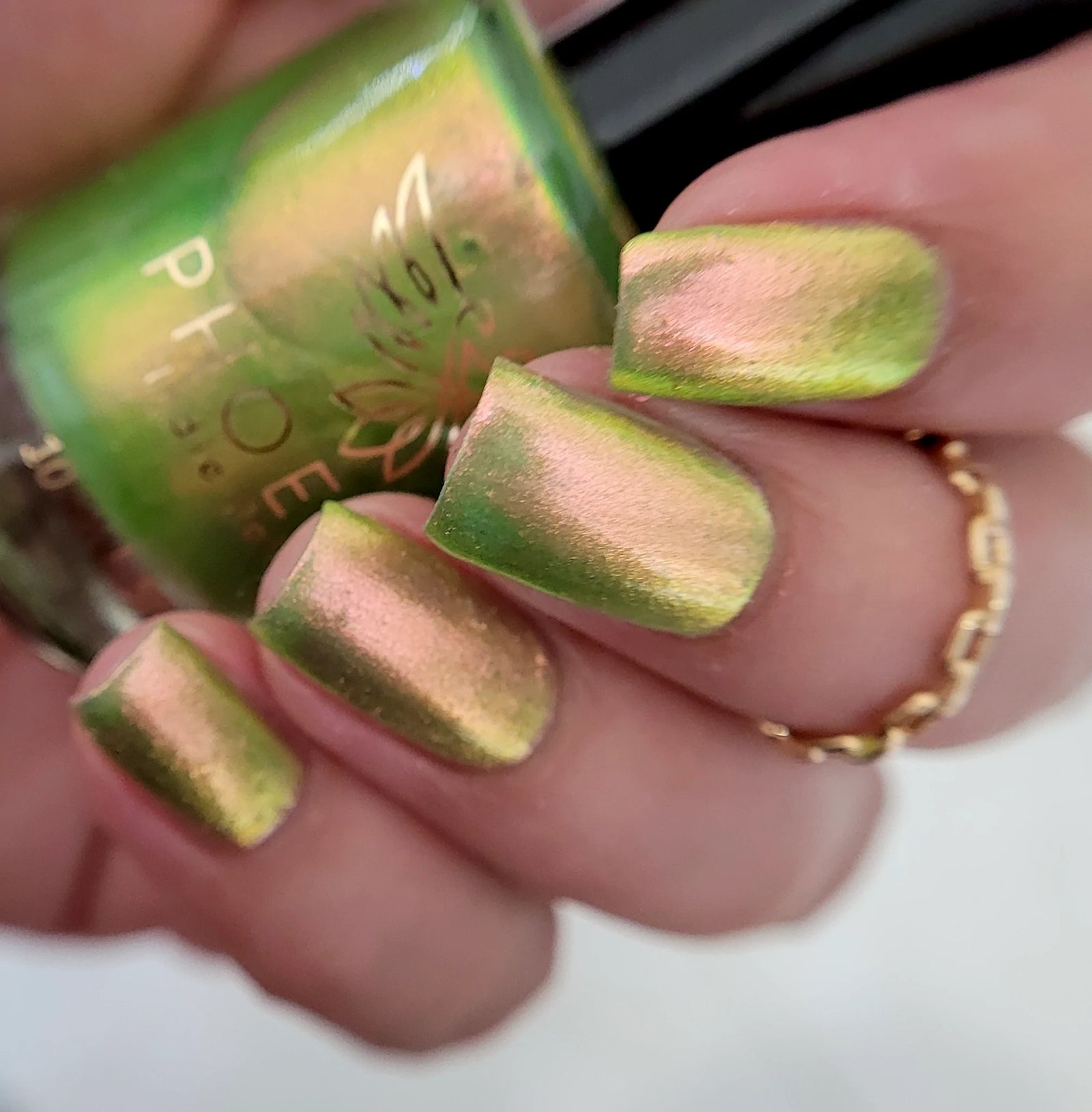 Phoenix- Elves- Legolas