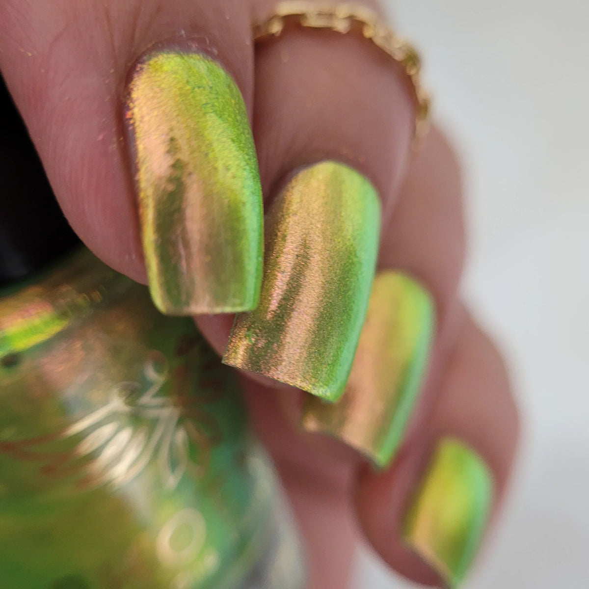 Phoenix- Elves- Legolas