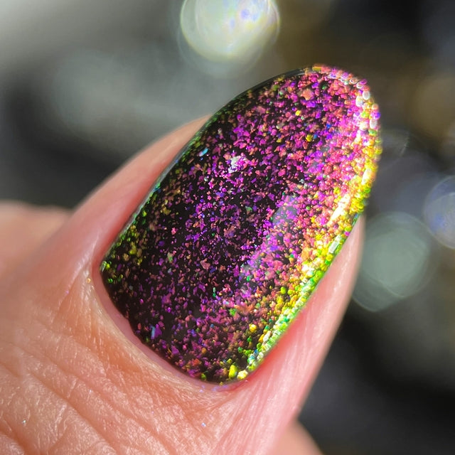 Phoenix- Unicorns- Dreamer