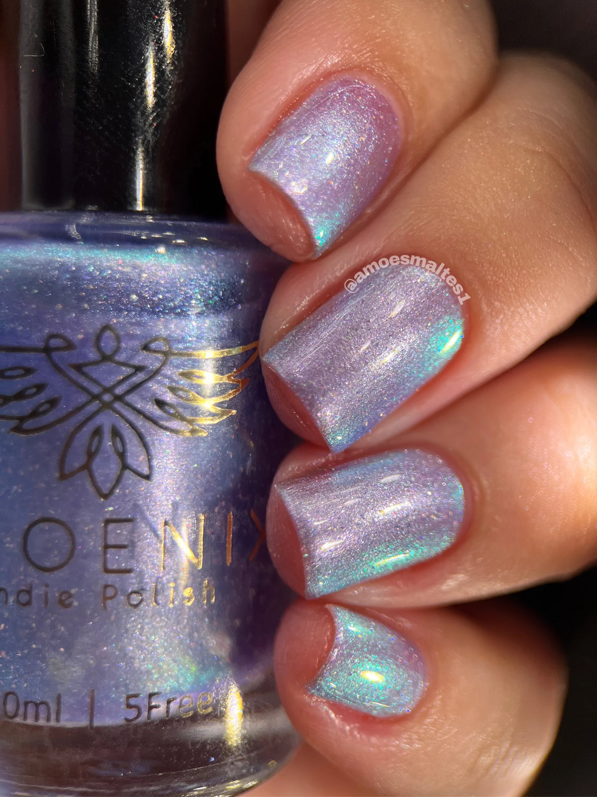 Phoenix- Elves- Nessa