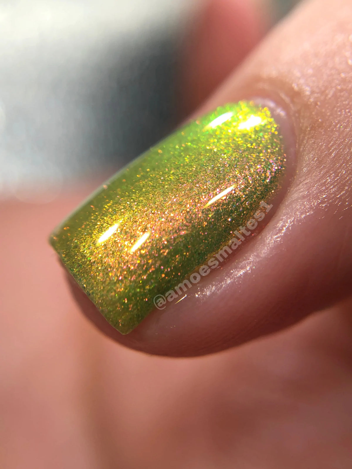 Phoenix- Elves- Legolas