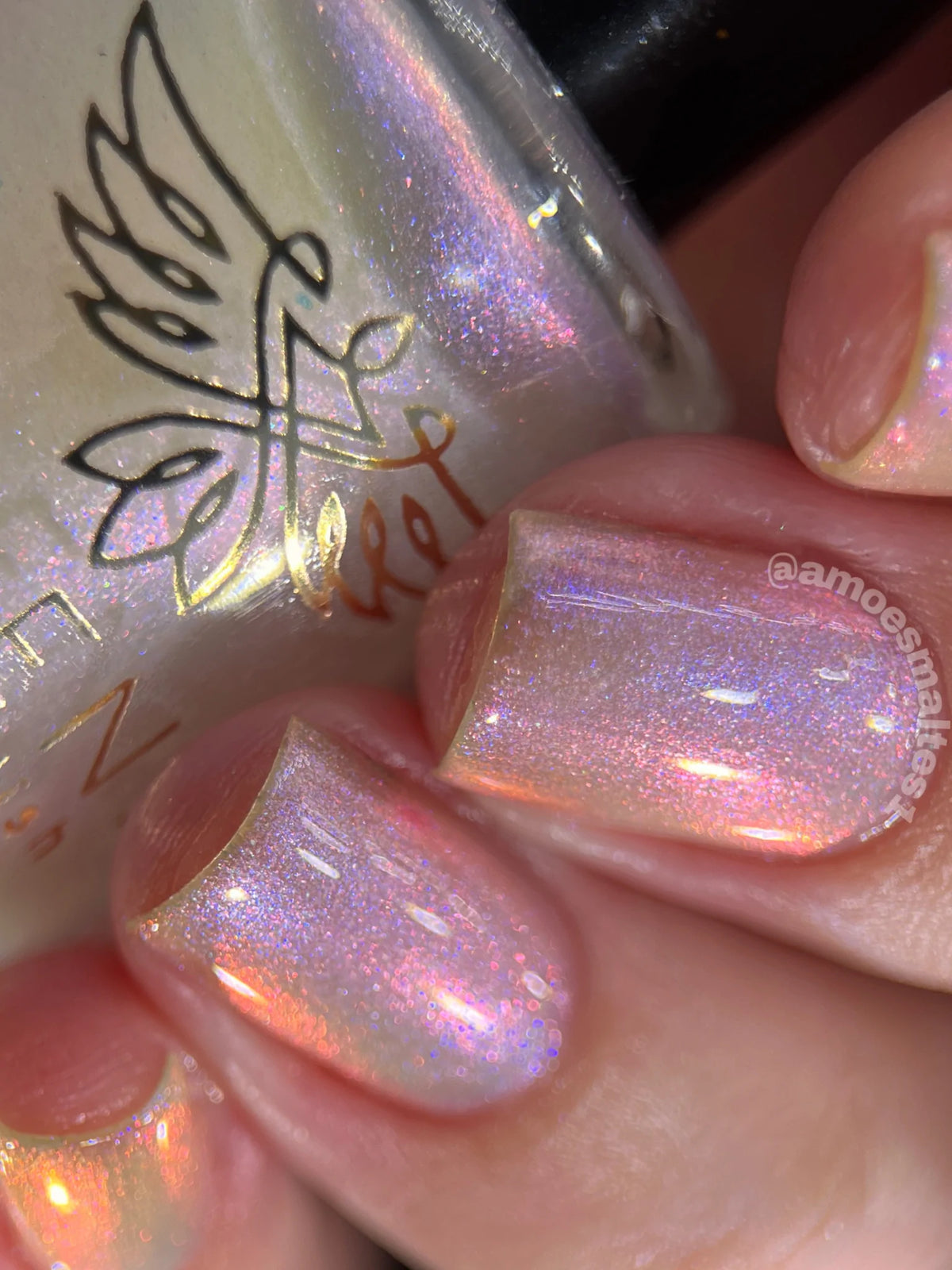 Phoenix- Elves- Arwen