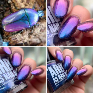 'Ard As Nails- Flashy Nature- Jewel Beetle