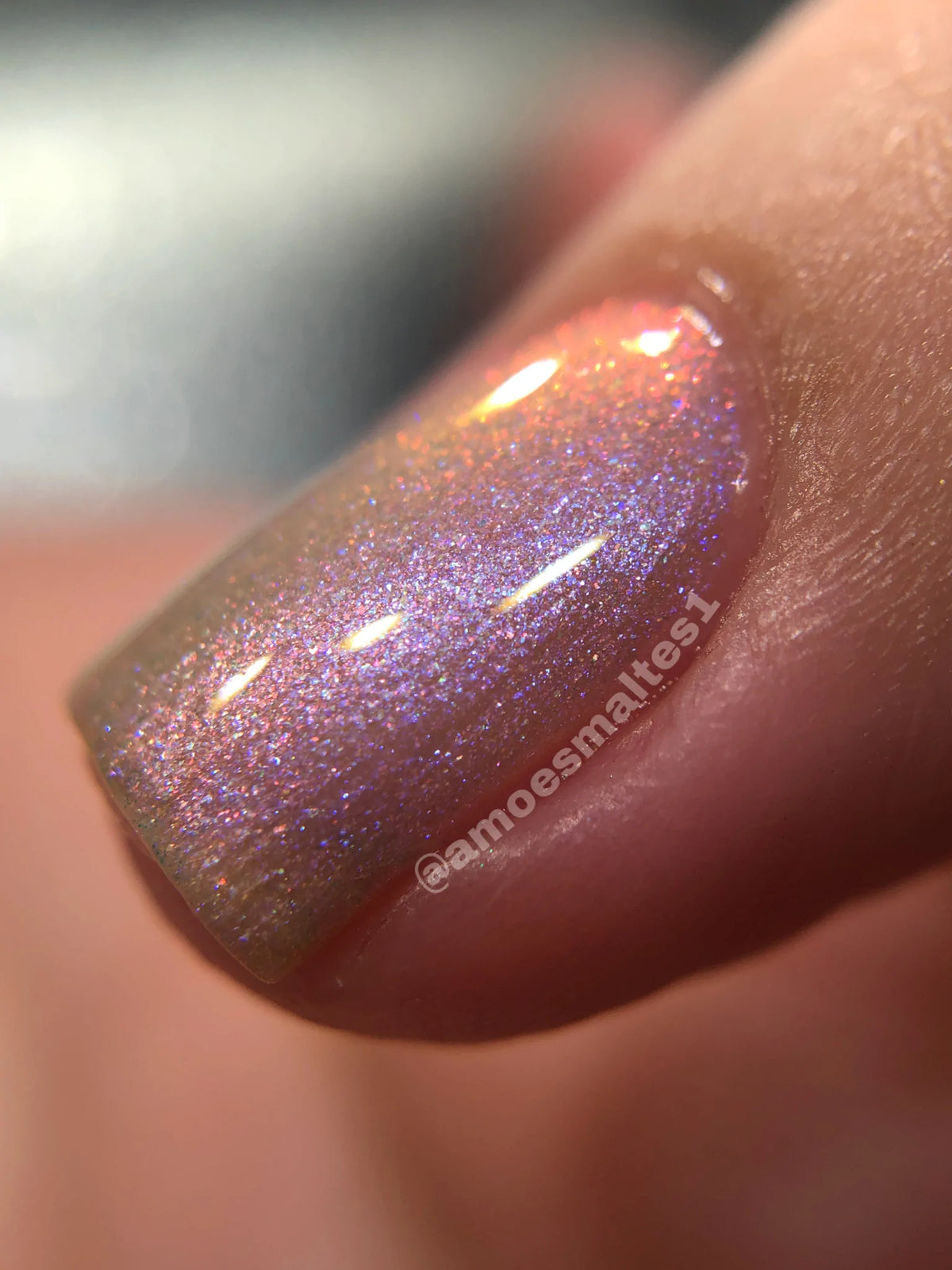 Phoenix- Elves- Arwen